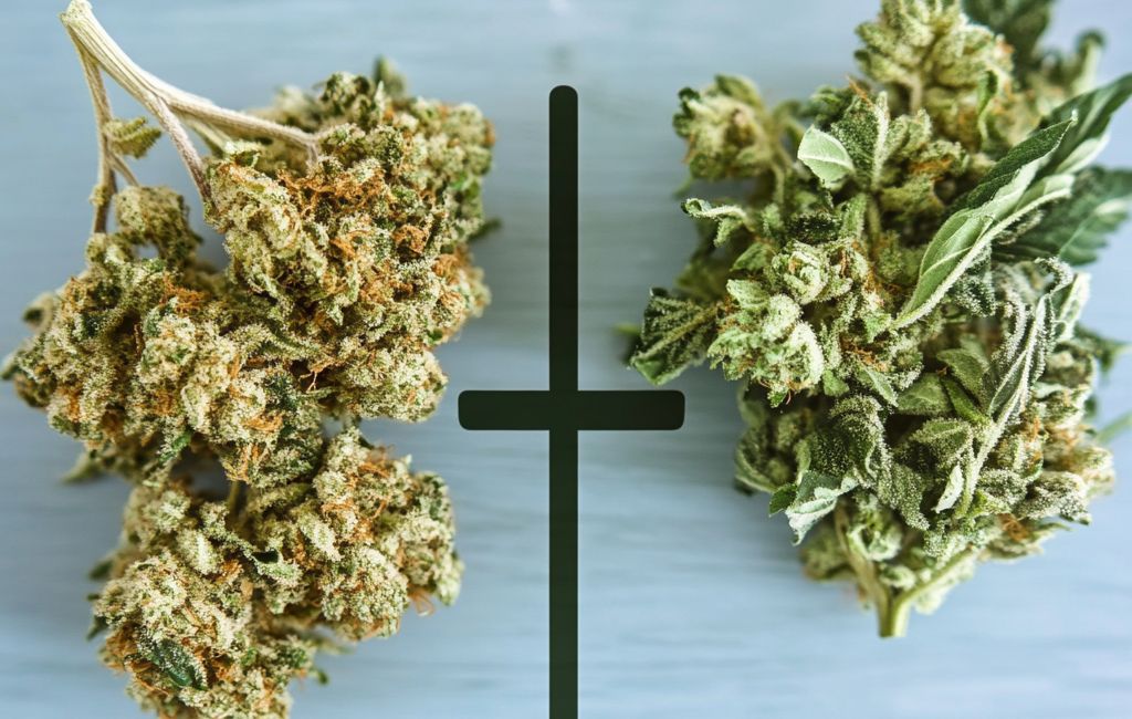 Thca Vs Thcp