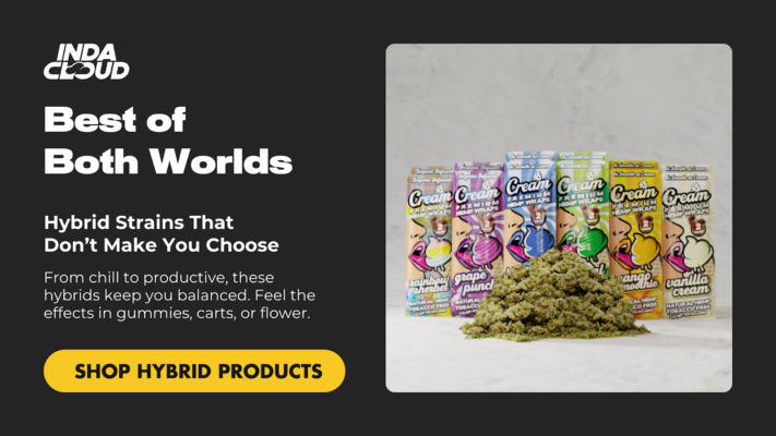 Indacloud Hybrid Strains &Ndash; Experience Delta 8 Vs. Delta 9 Gummies 