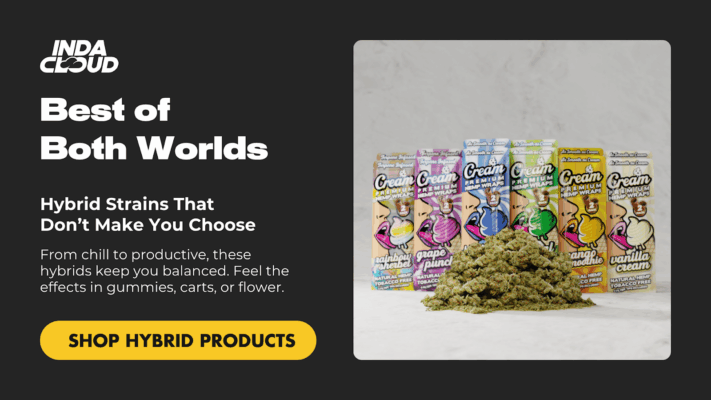 Explore Indacloud Hybrid Strains